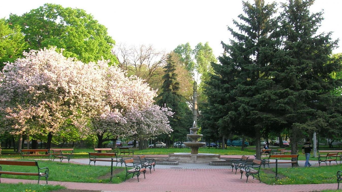 Profi futópályáért futnak kicsik és nagyok a Népkertben