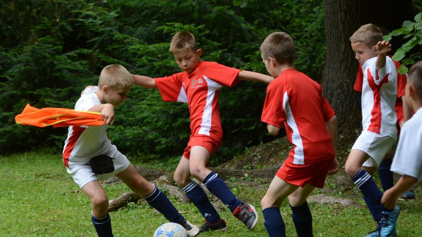 Húsz esztendő alatt százezer szereplő