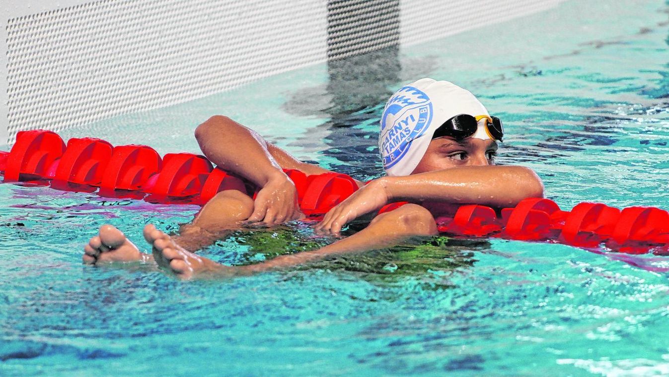 Delfinvadászat indul a Keményben