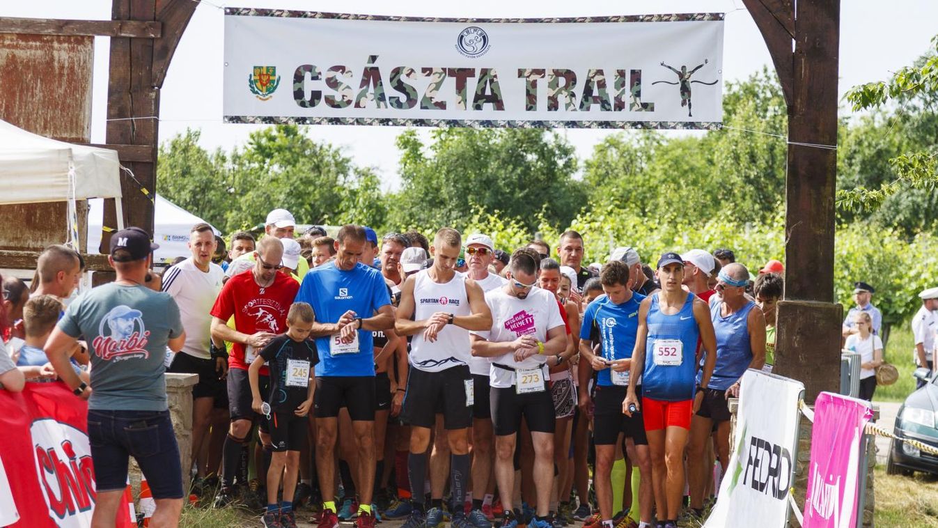 A Császta-szőlőhegyen ezúttal nem szőlőt, hanem érmeket szüreteltek