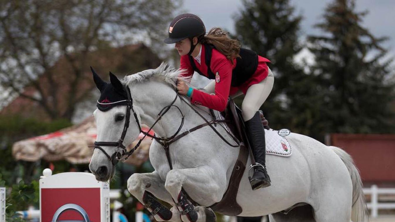 Hollandiába tartanak