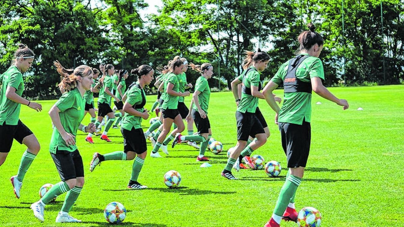 Magyar–svéd meccs Miskolcon