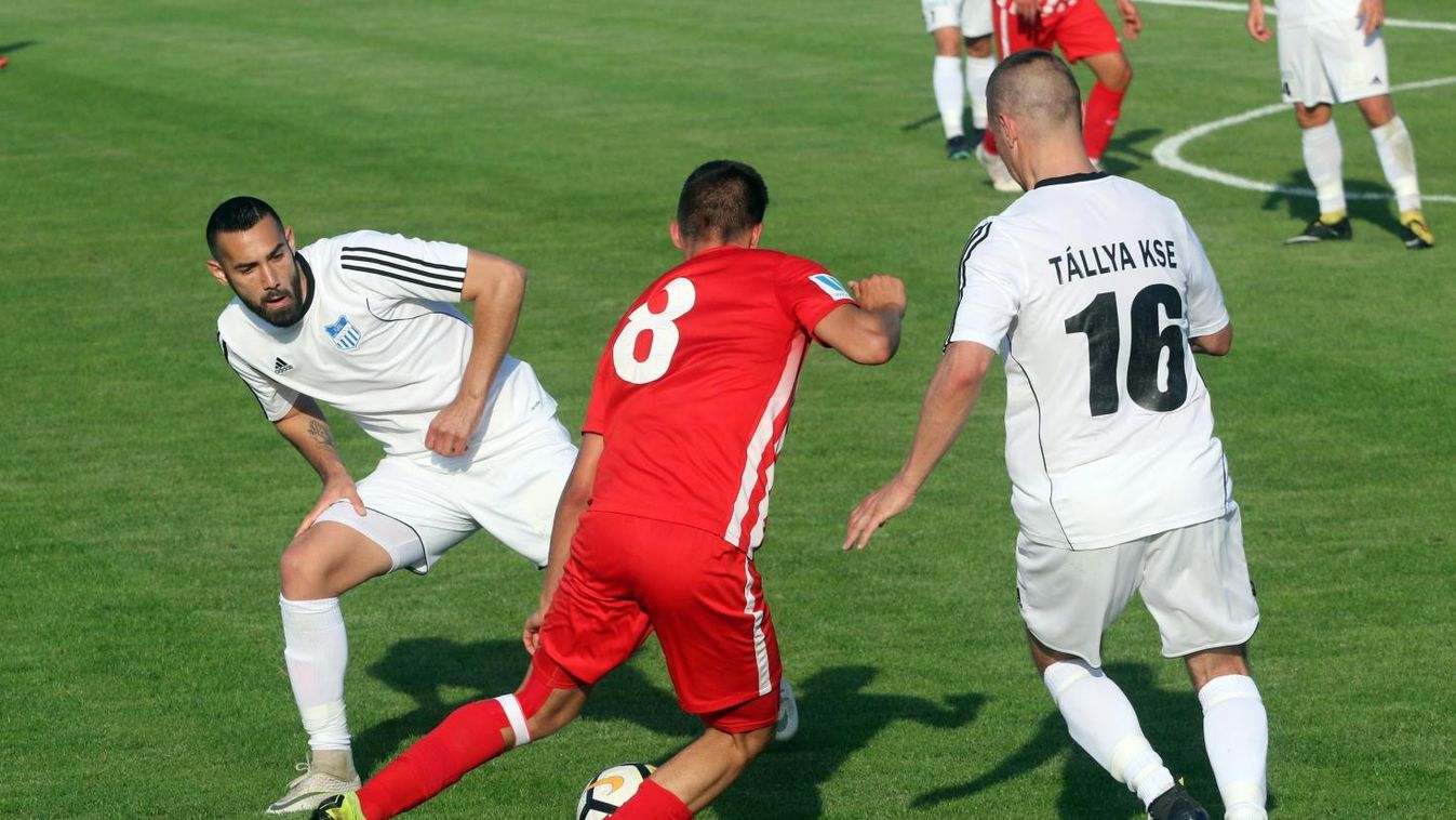 A Tállya a tavalyi miatt reménykedik