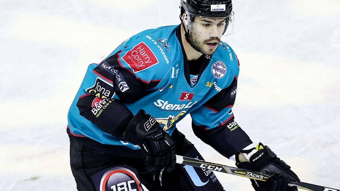 Kanadai támadót igazoltak a Macik