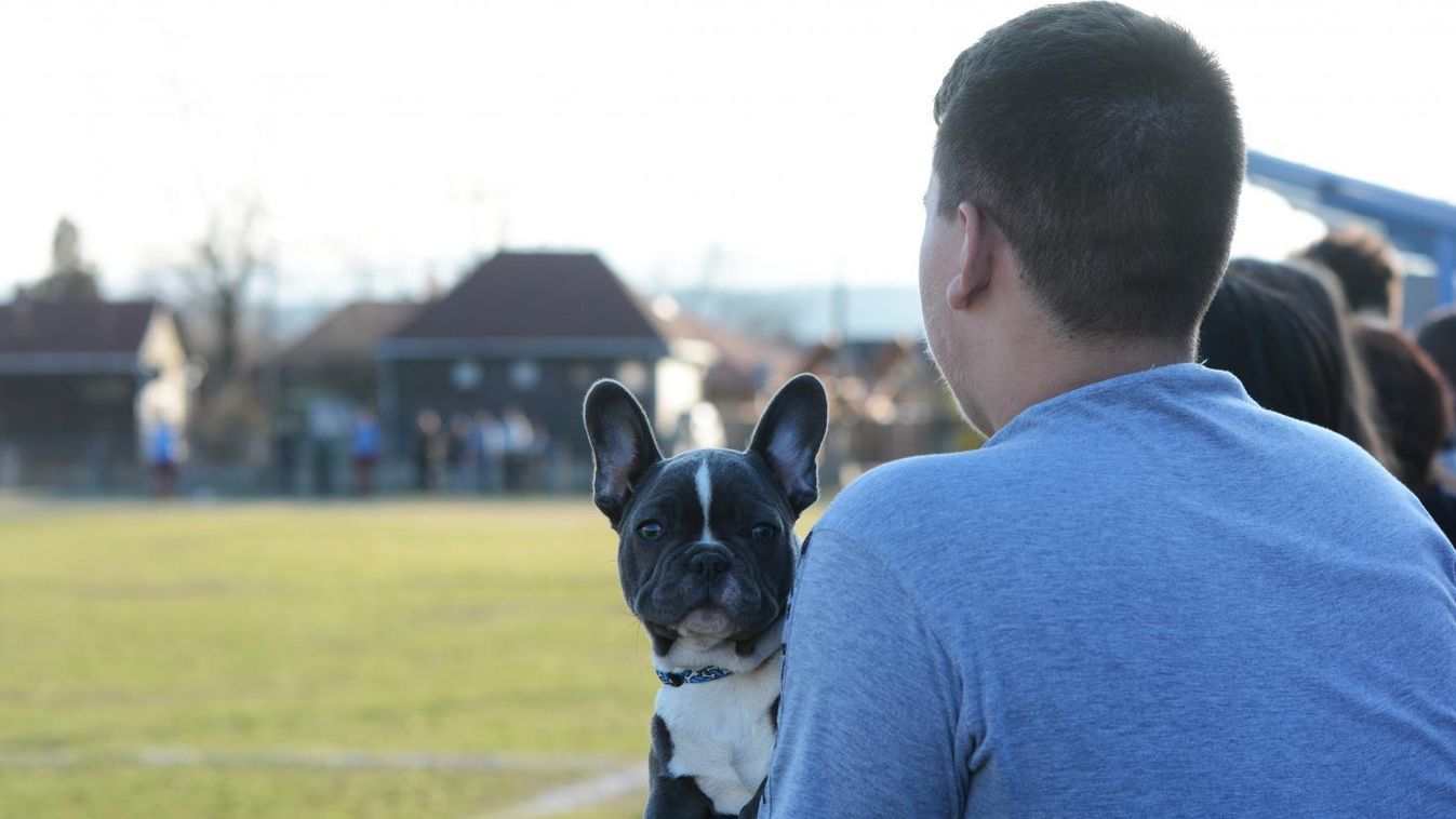 „Ezért a győzelemért nagyon sokat dolgoztak a srácok a nyáron”