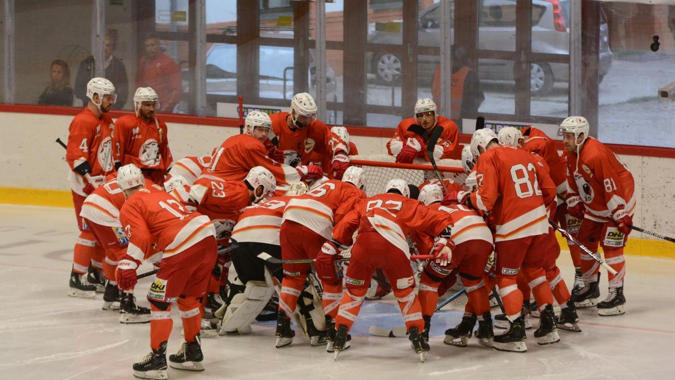 Győztek a Jegesmedvék