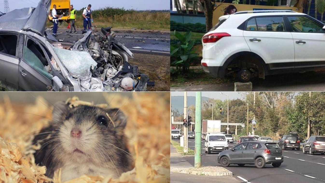 DVTK, Kiss Ernő utca, halálos balesetek – A múlt hét legolvasottabb cikkei