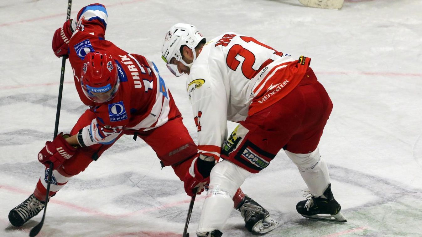 A címvédőnél vizsgáznak a Macik