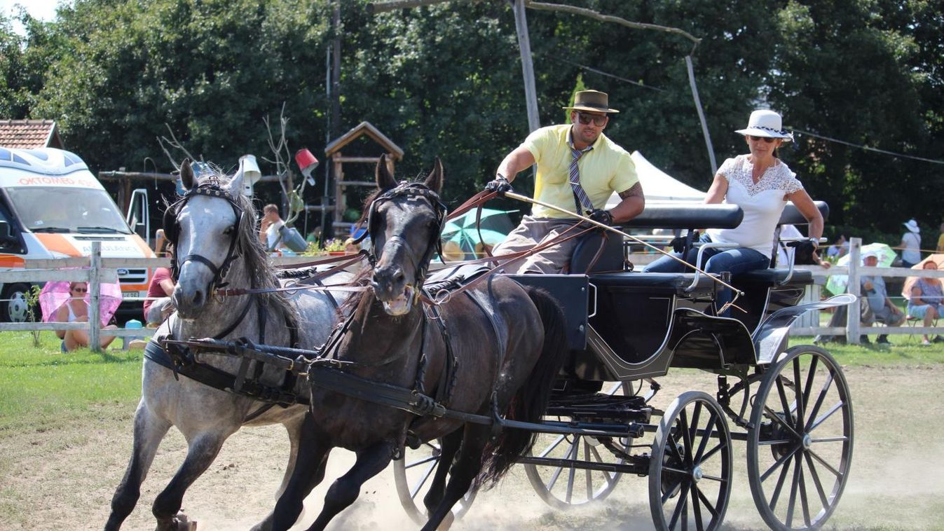 Az ország számos pontjáról érkeztek ide