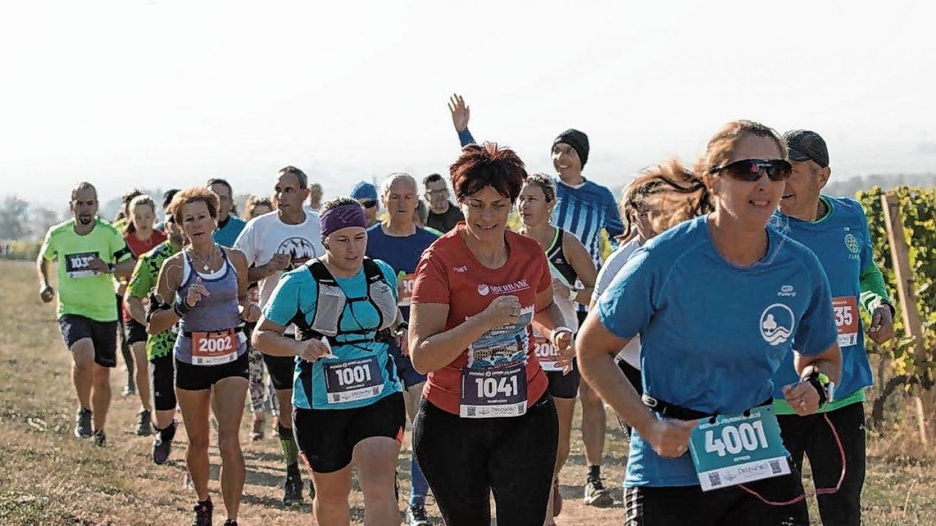 Hetedszer Disznókő Tokaj Futókör