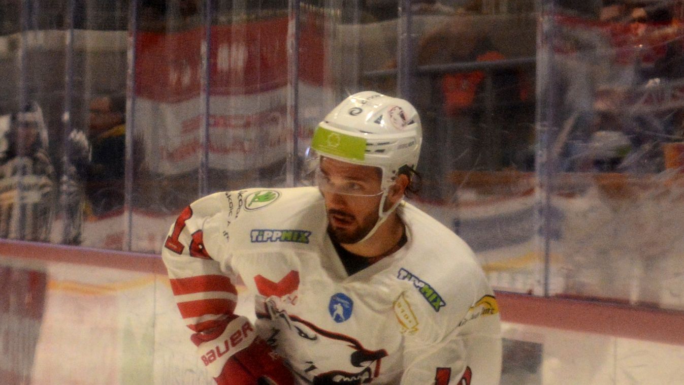 Négy vereség után Maci-siker