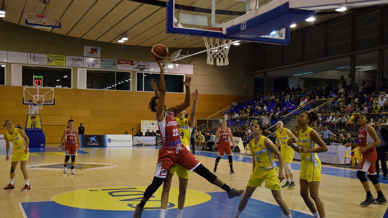 Kiment bokák után nem volt esély