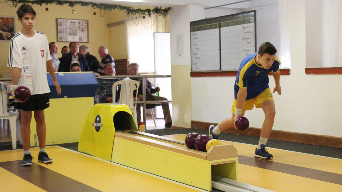 Teke, röplabda, birkózás: megyei eredmények