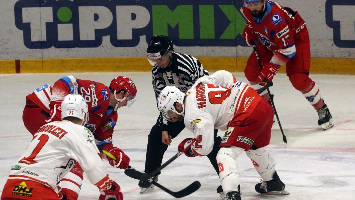 Ünnepnapok előtt a Macik