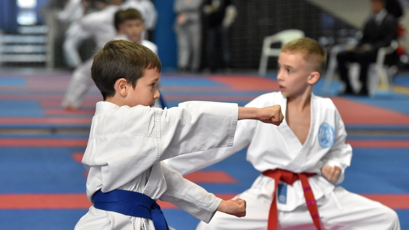 Nemzetközi is a tizenharmadik emlékverseny