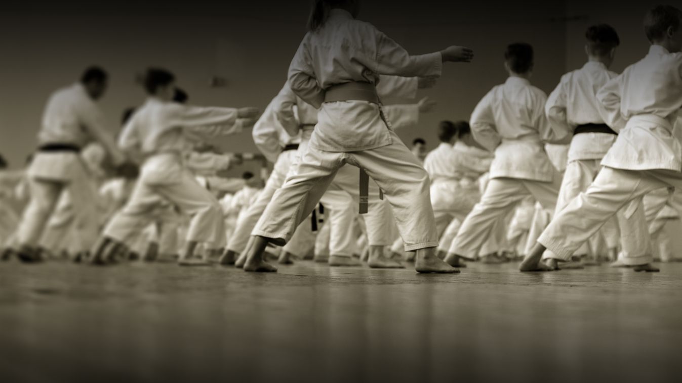 Cselgáncs és karate