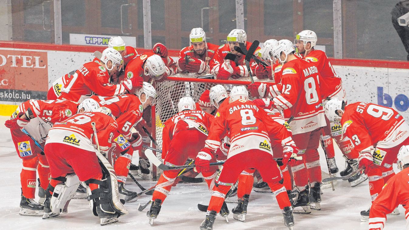 Kiválóan játszottak a Macik