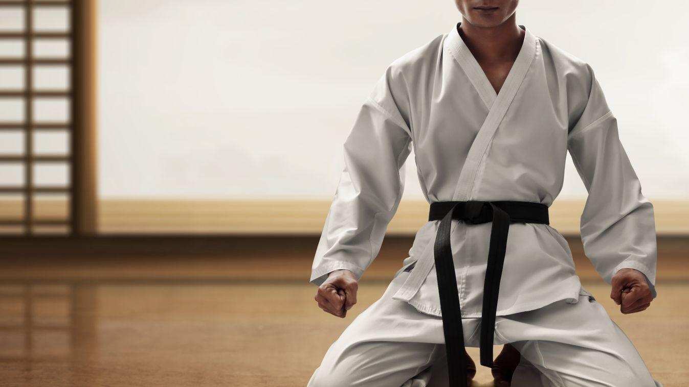 A bécsi és edelényi kupán is remekeltek