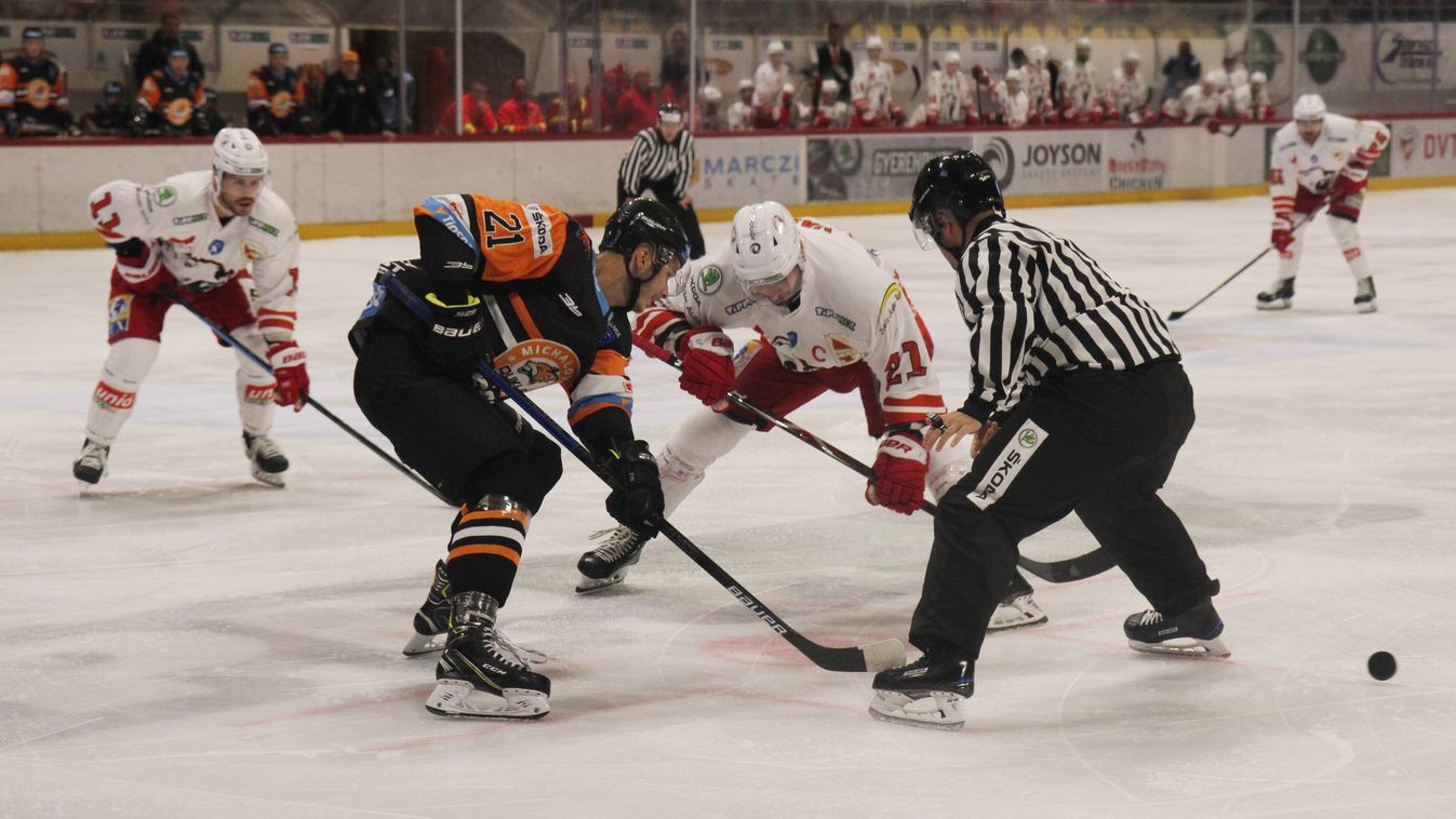 Maci-remények Miklós napján