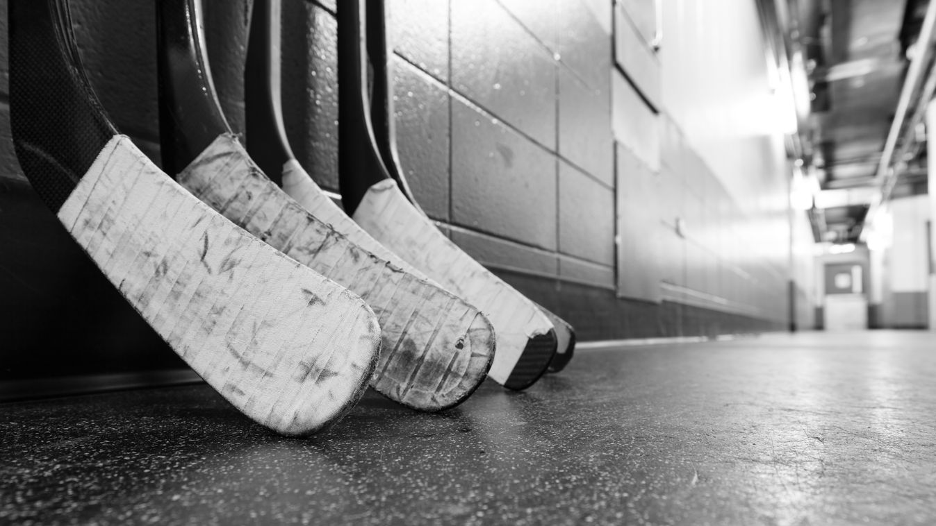 Pozsonyba ment a Macik csatára