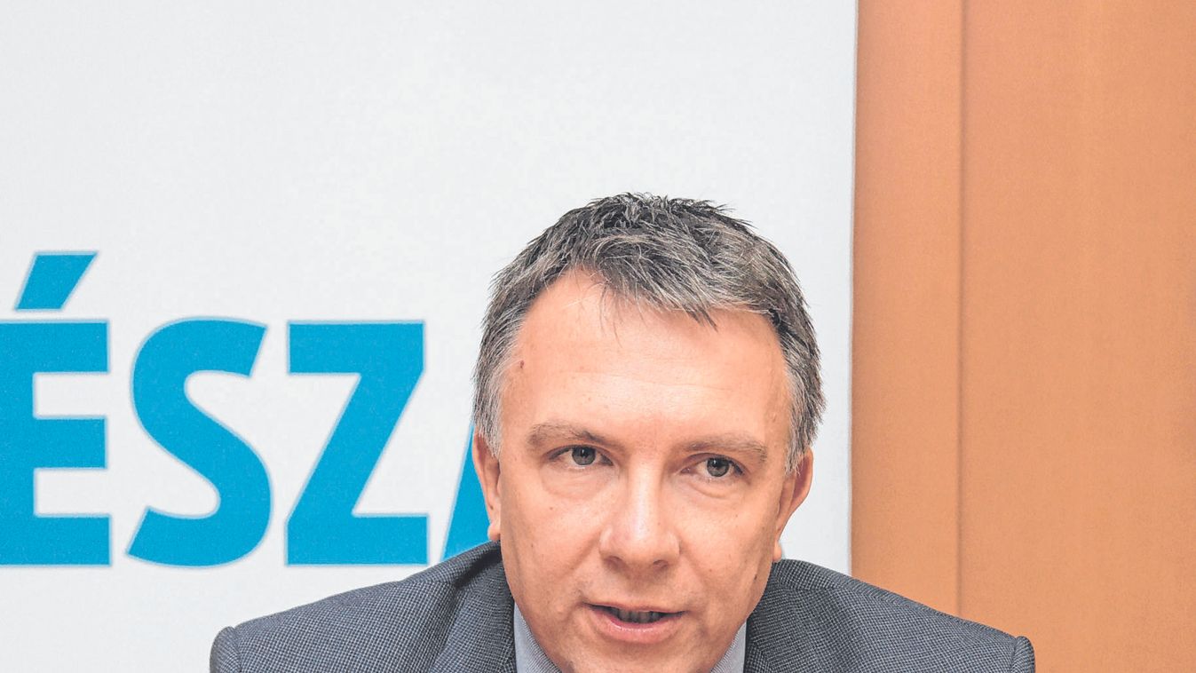 Filmet forgattak, szőnyegre vágynak