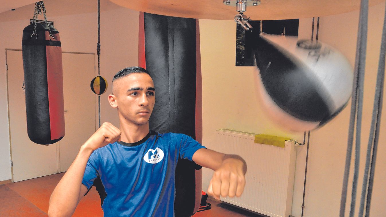 Utat nyithat az idei ob Csókának