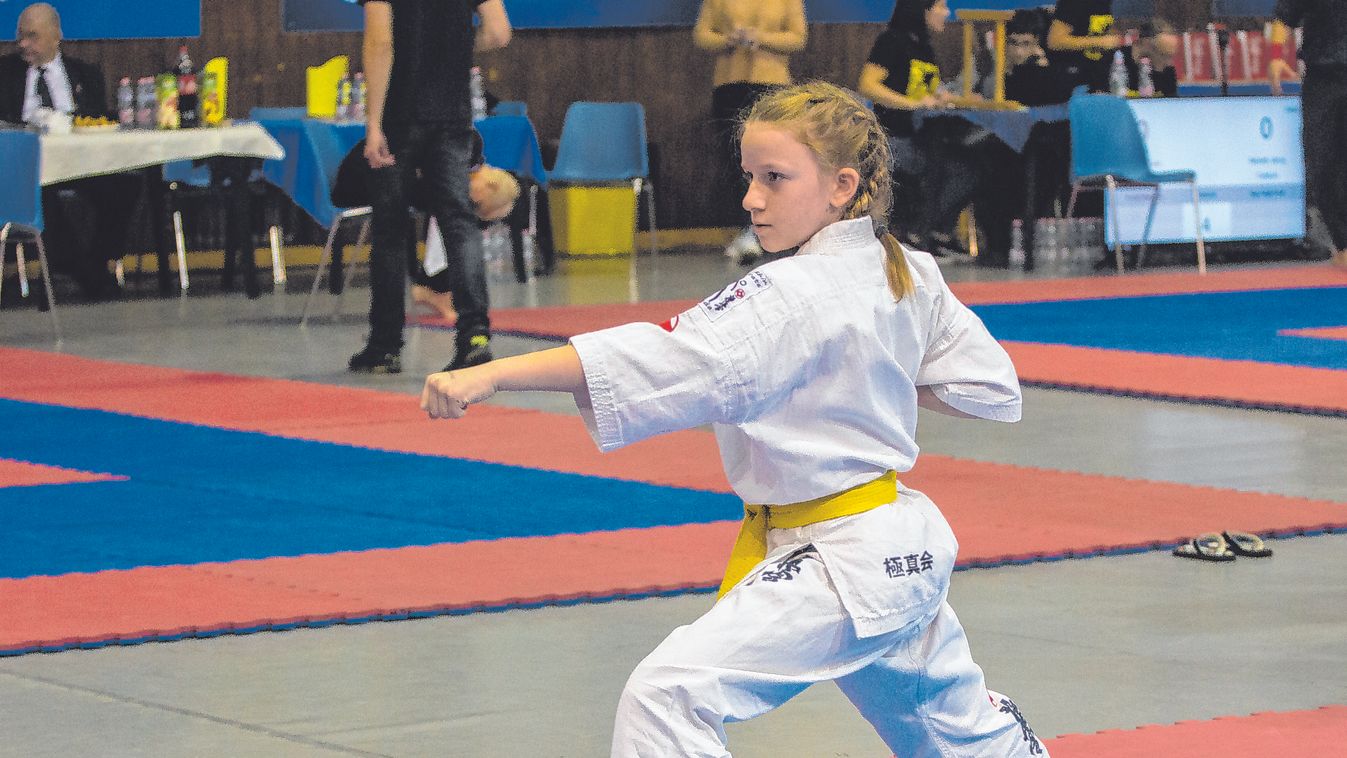 Az államtitkár az új helyzetről