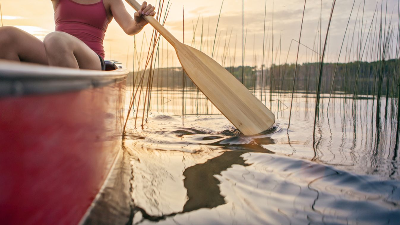 Előbb biztosan győzött, de aztán nem figyelt