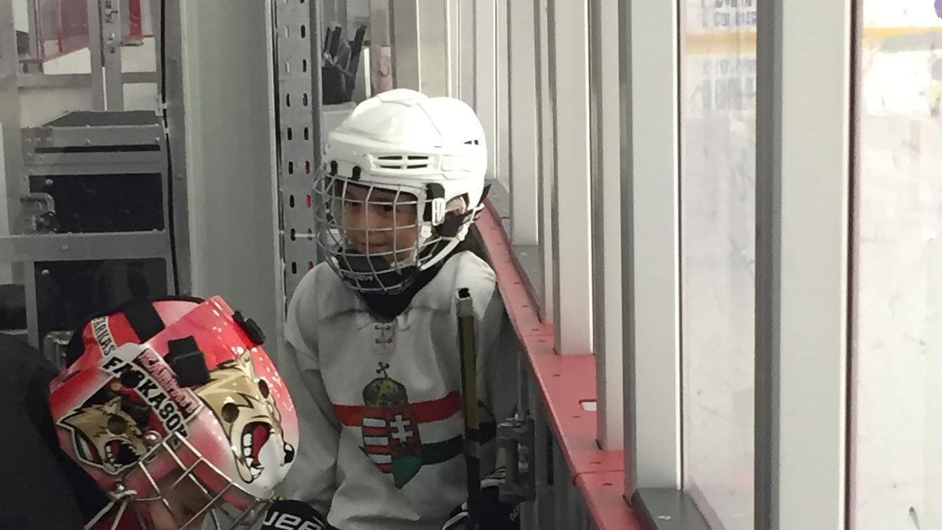 Jankó mesterségét űzi a gyermeke, Joel