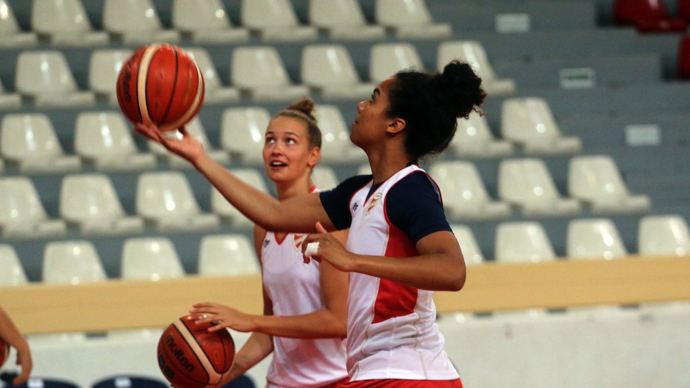 A DVTK mint kísérleti nyúl