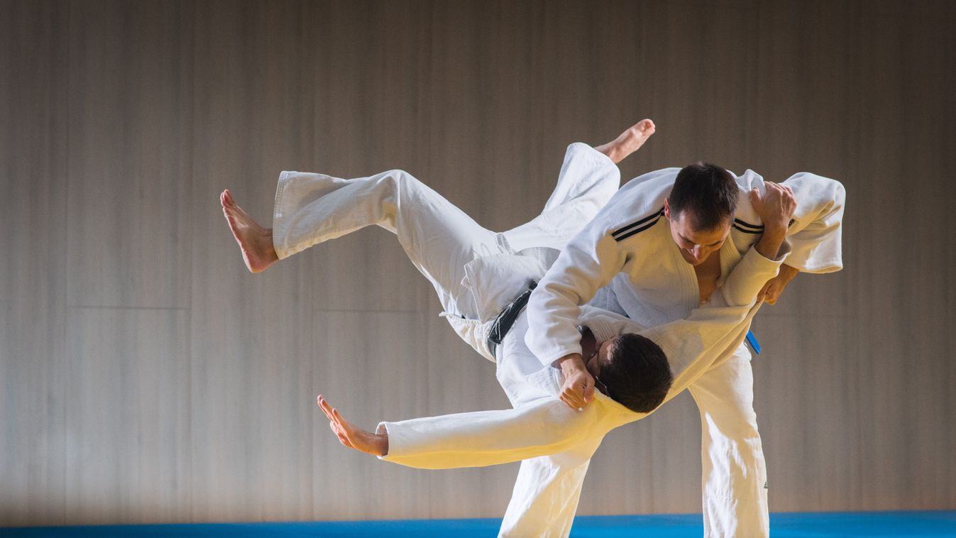 Cselgáncs: hat hónap után először