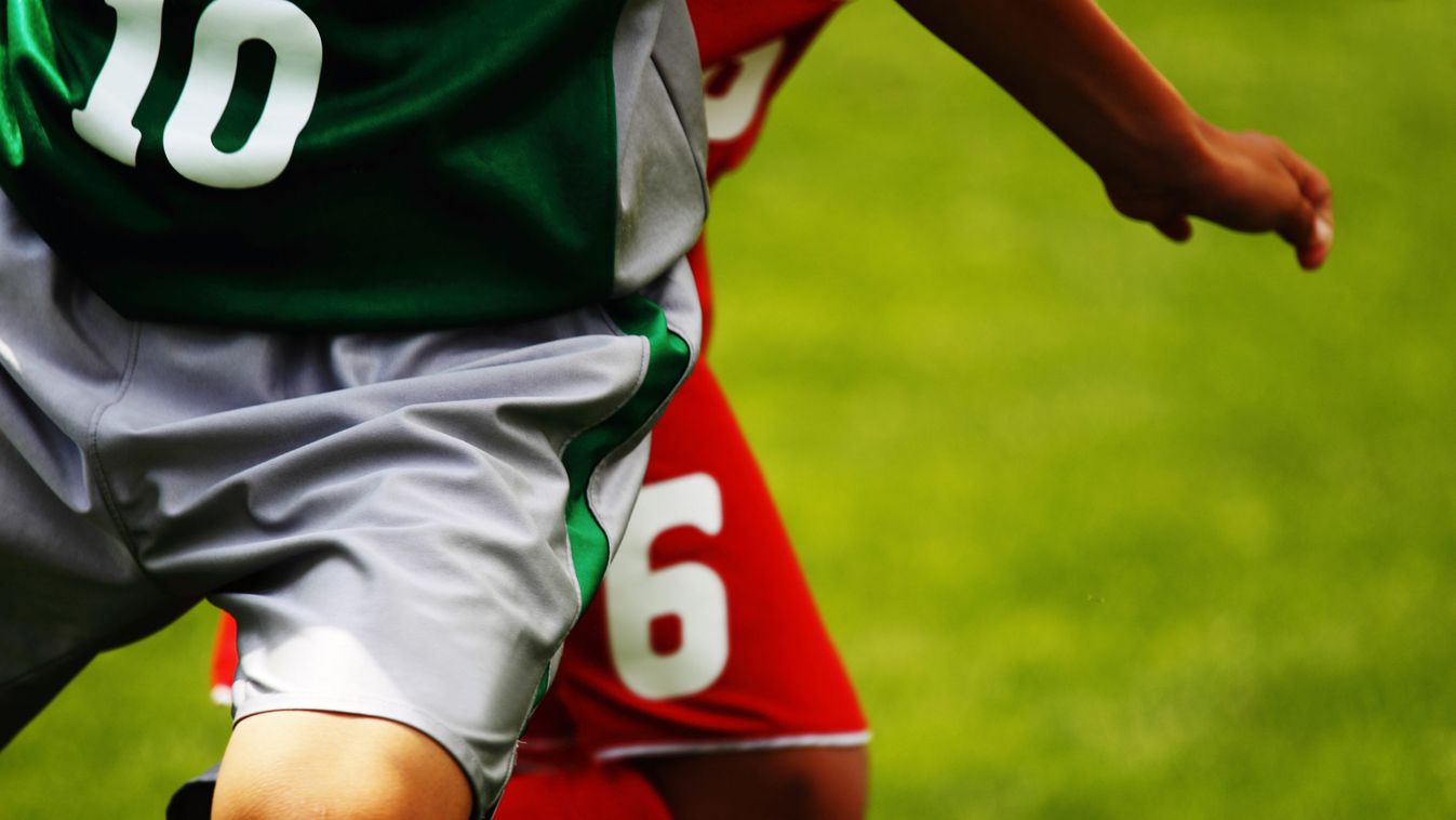 „Lehet, hogy ennyit tudunk, pedig nem”