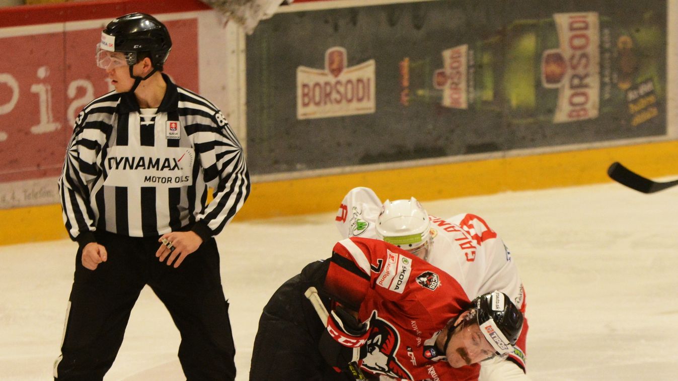 Nagymihályon nyert a DVTK Jegesmedvék