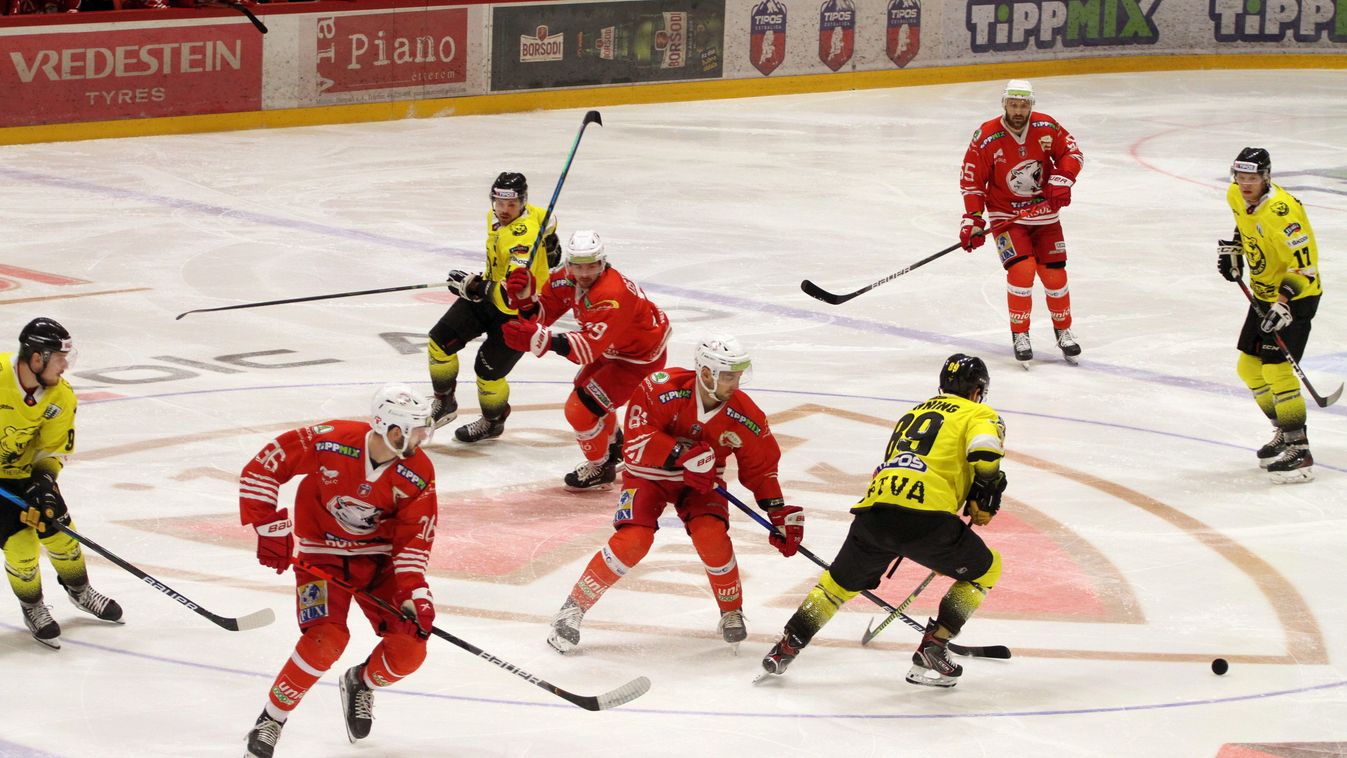 Nem bírtak a Macik a Gyetvával