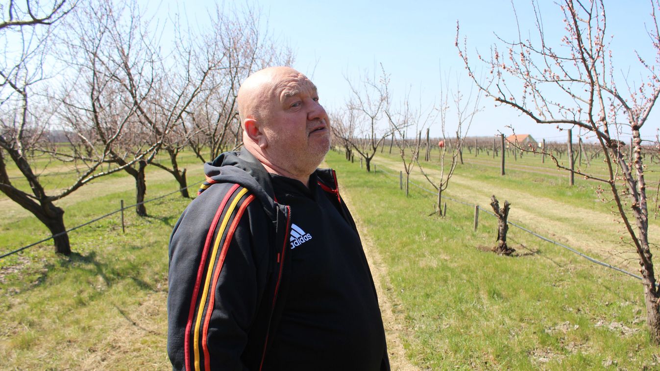 Bükkalján is kárt okozott a fagy