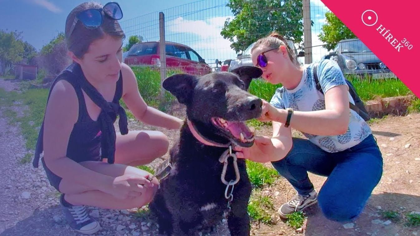 Kutyagolók a Sajó partján