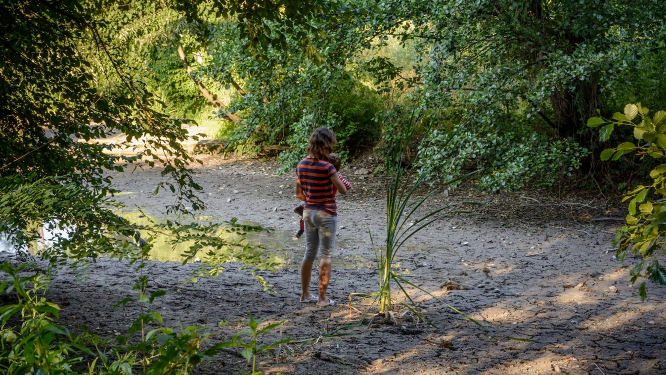 A turizmus leállása miatt újra termálvízzel telt meg a püspökfürdői tó