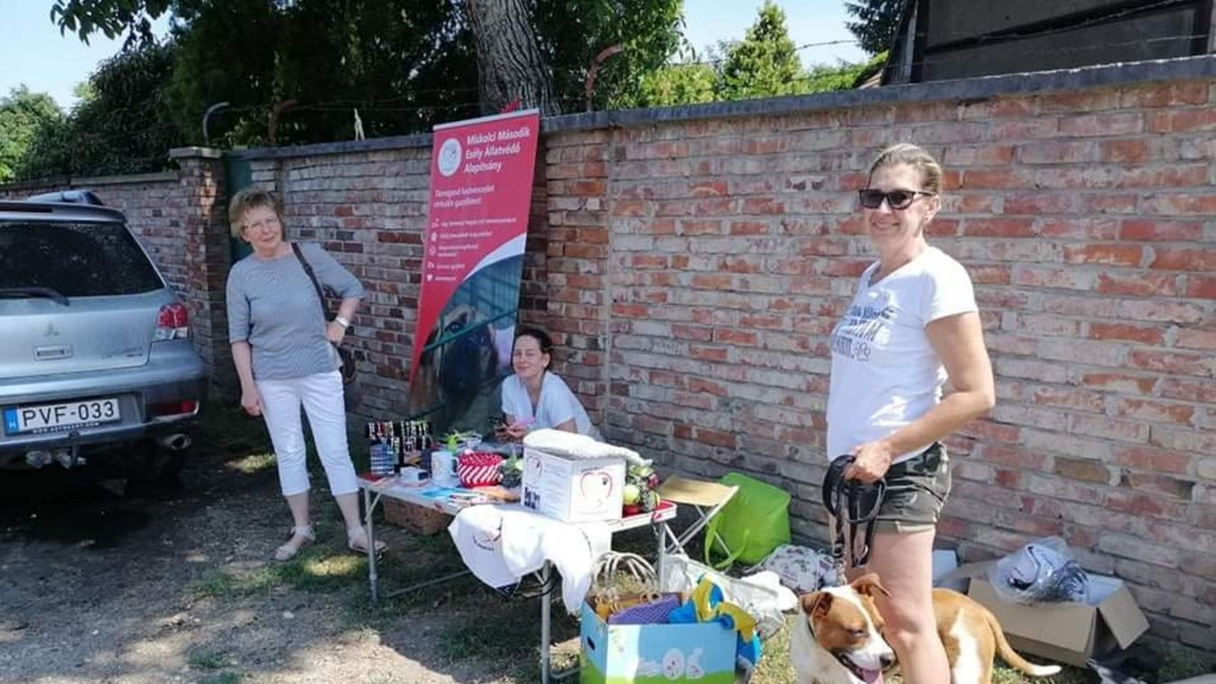 Ünnep lesz a világnapon