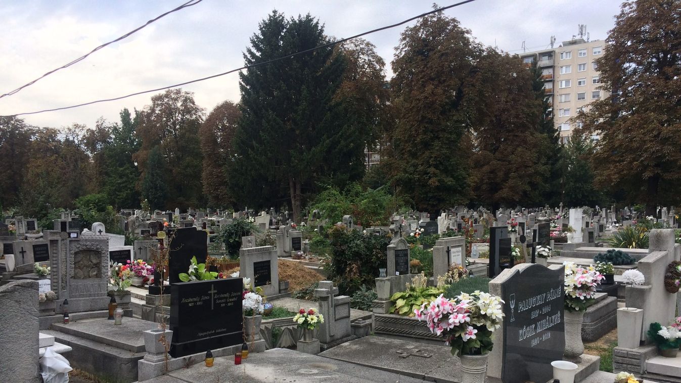 Hősök nyomán a tartalékos katonák