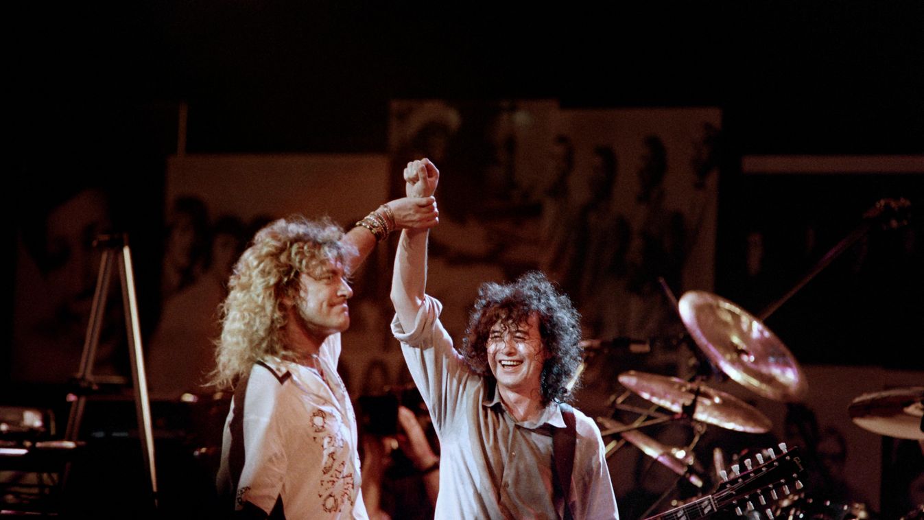 A Led Zeppelinről neveztek el egy új békafajt