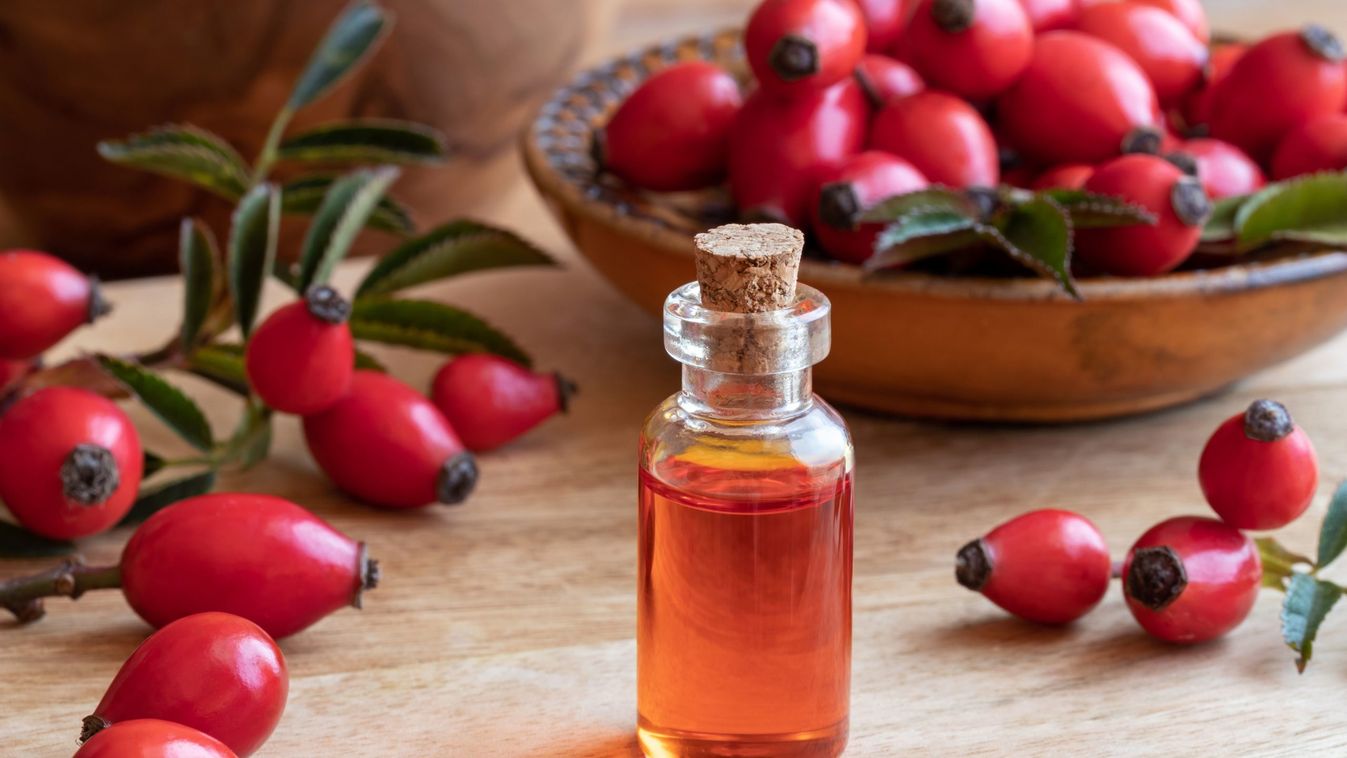 Érik a csipkebogyó – igazi vitaminbomba