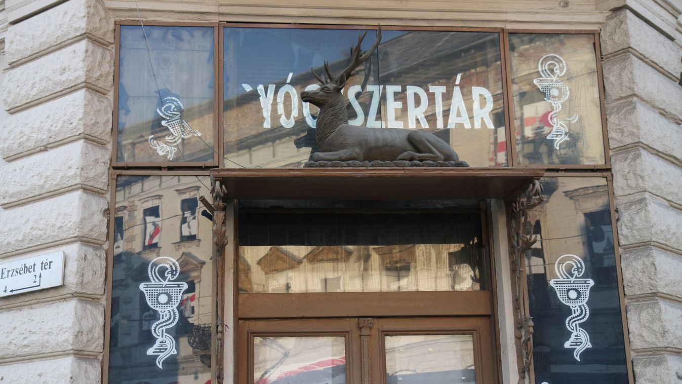Múzeumba viszik az aranyszarvast