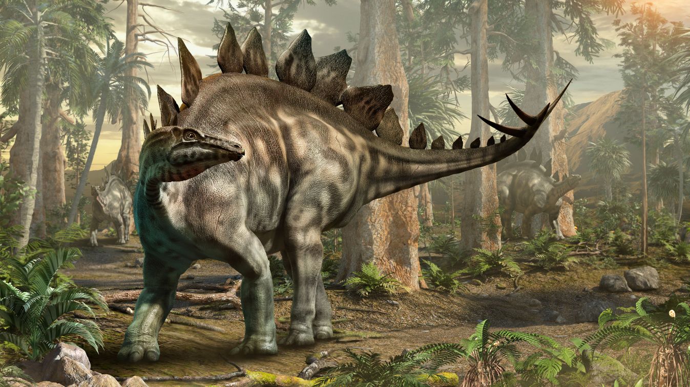 A stegosaurus egy új fajtáját fedezték fel Kínában