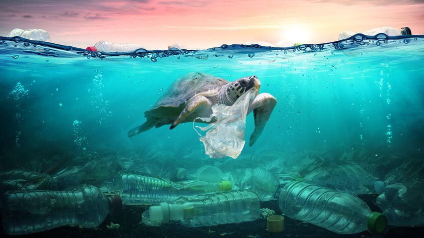 Plastic pollution of the world’s oceans has been analyzed – and the result is devastating