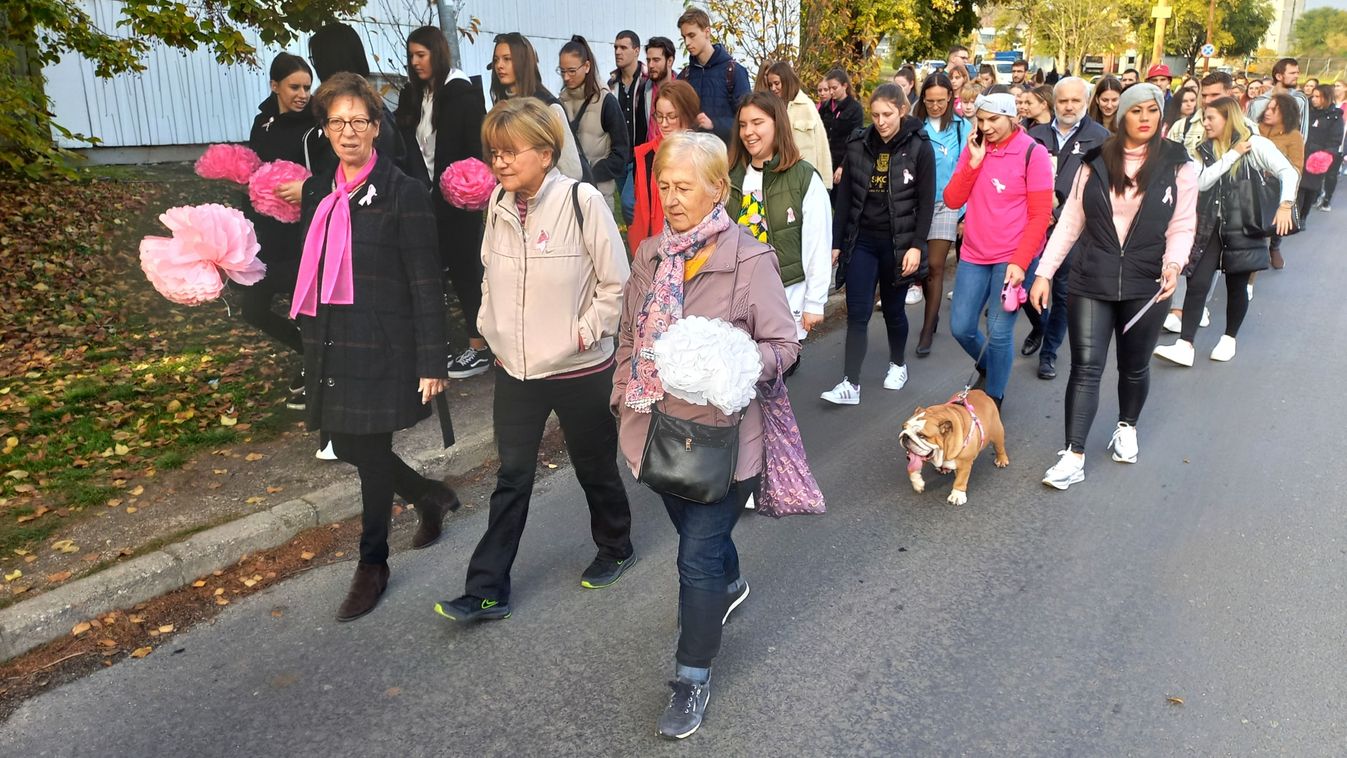 Rózsaszínben sétáltak, veszélyre figyelmeztettek (Fotók, videó)