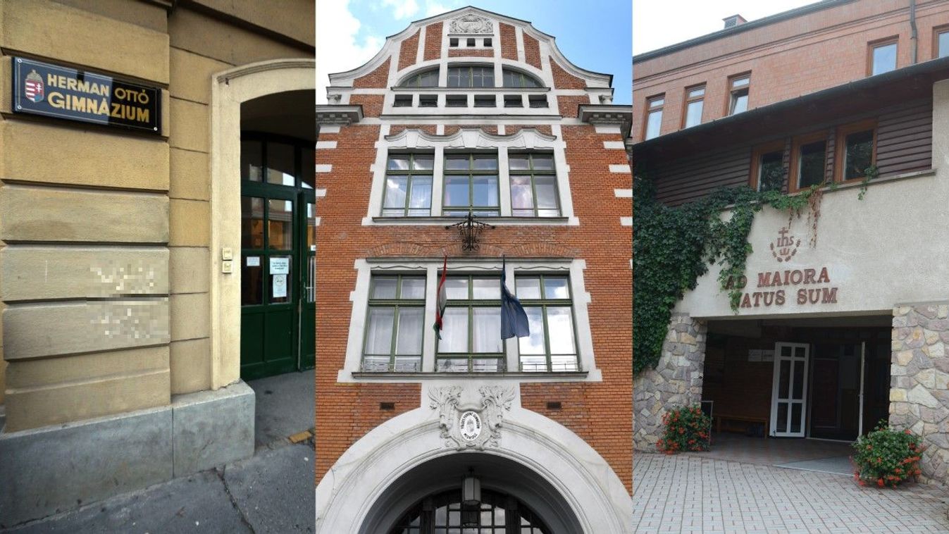 Herman, Fényi, Földes, a legjobbak