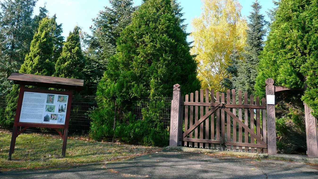 Tavaszköszöntő az Avasi Arborétumban