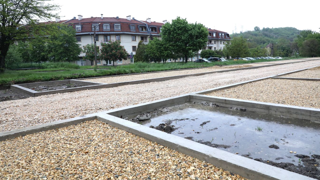 Csak egy talpalatnyi zöldet szerettek volna Diósgyőrben