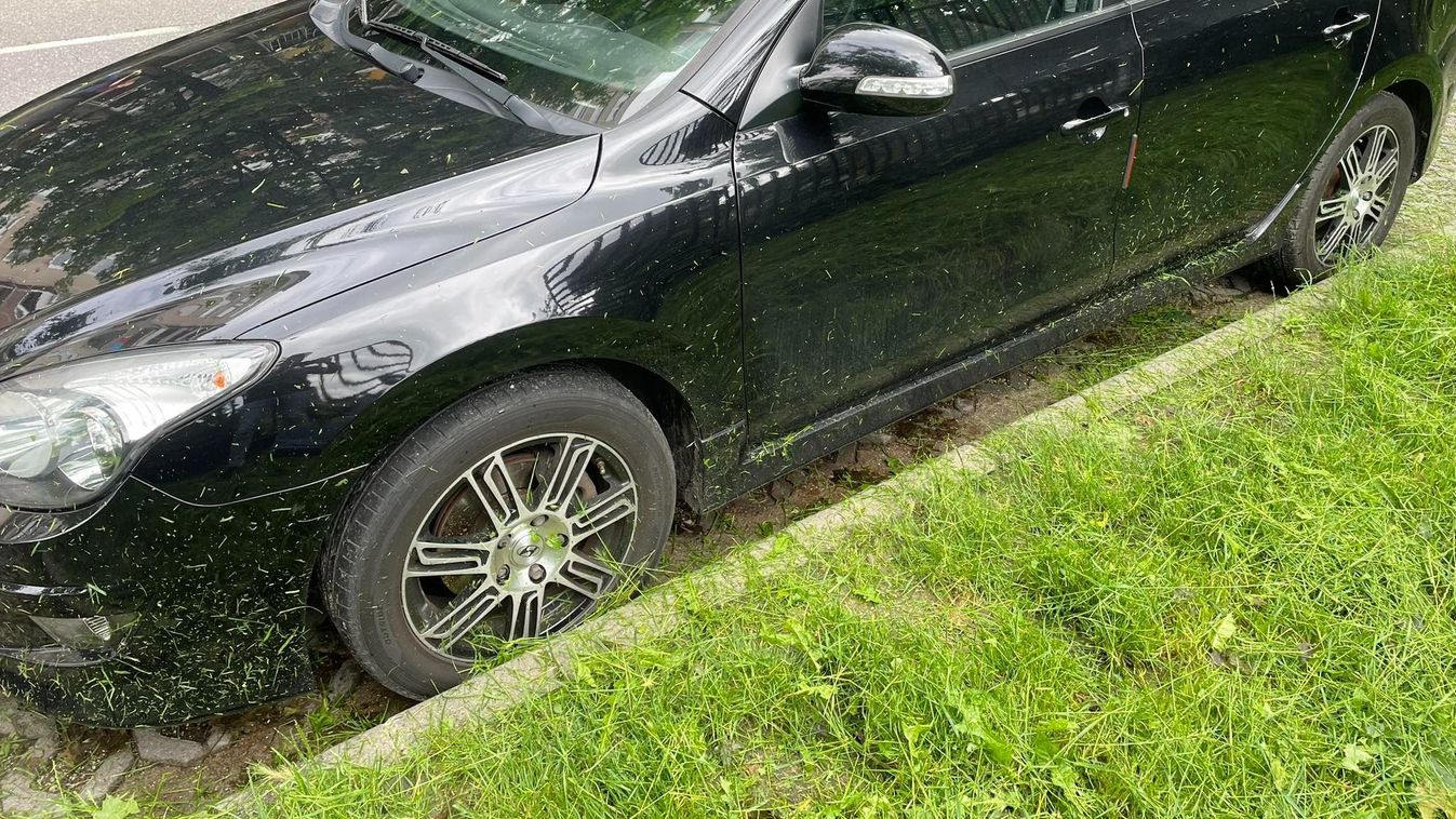 Veszélyeket rejthet a közterületen való parkolás Miskolcon. Főleg, ha füvet nyírnak!