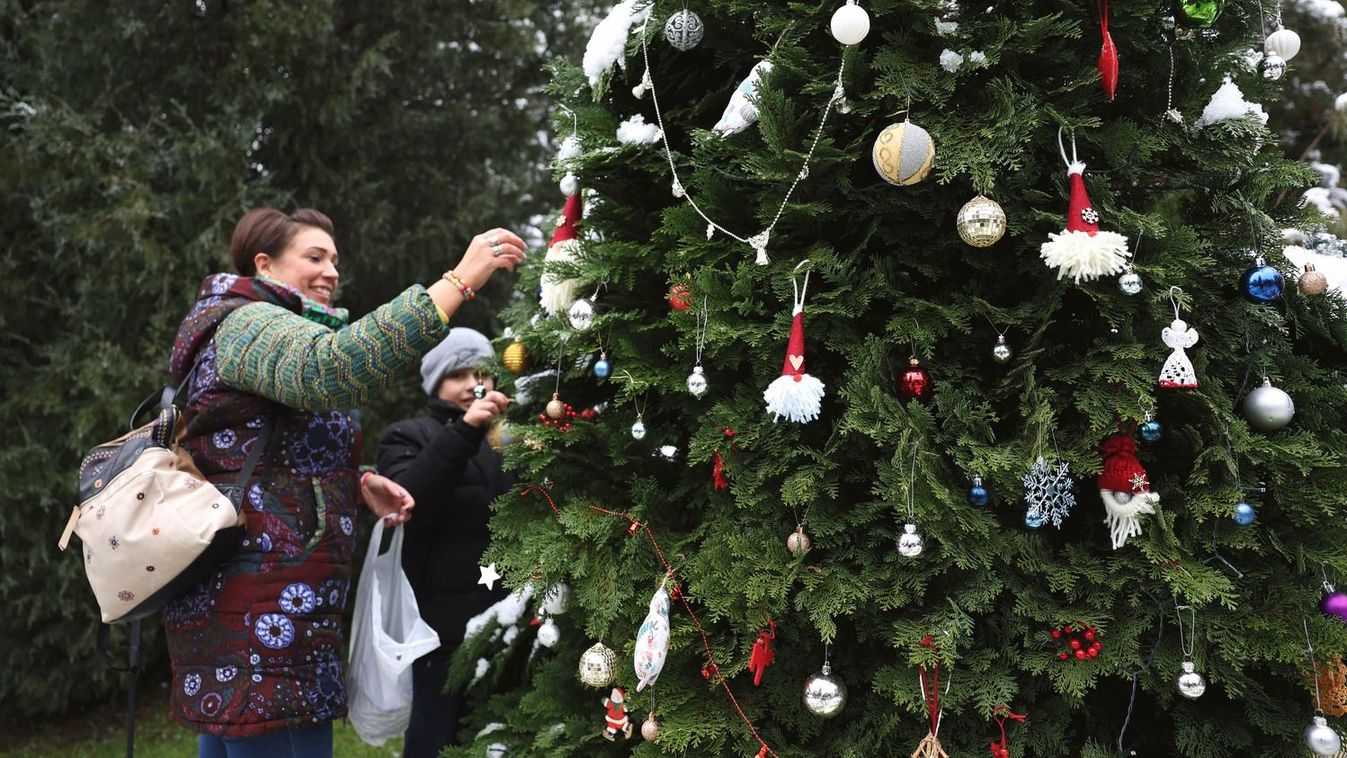 Karácsonyfa díszítés a mesebeli Avasi Arborétumban + fotók